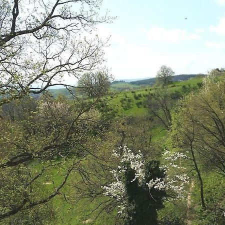Gite Les Cadichons De La Grange Saint-Péray Exteriér fotografie